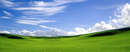 Green and Cloudy Sky_S.jpg